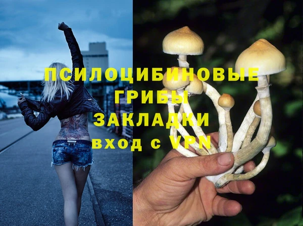 дмт Касимов