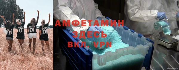 дмт Касимов