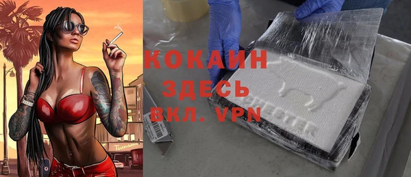 дмт Касимов