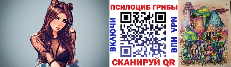 OMG вход  Каспийск  Псилоцибиновые грибы GOLDEN TEACHER 