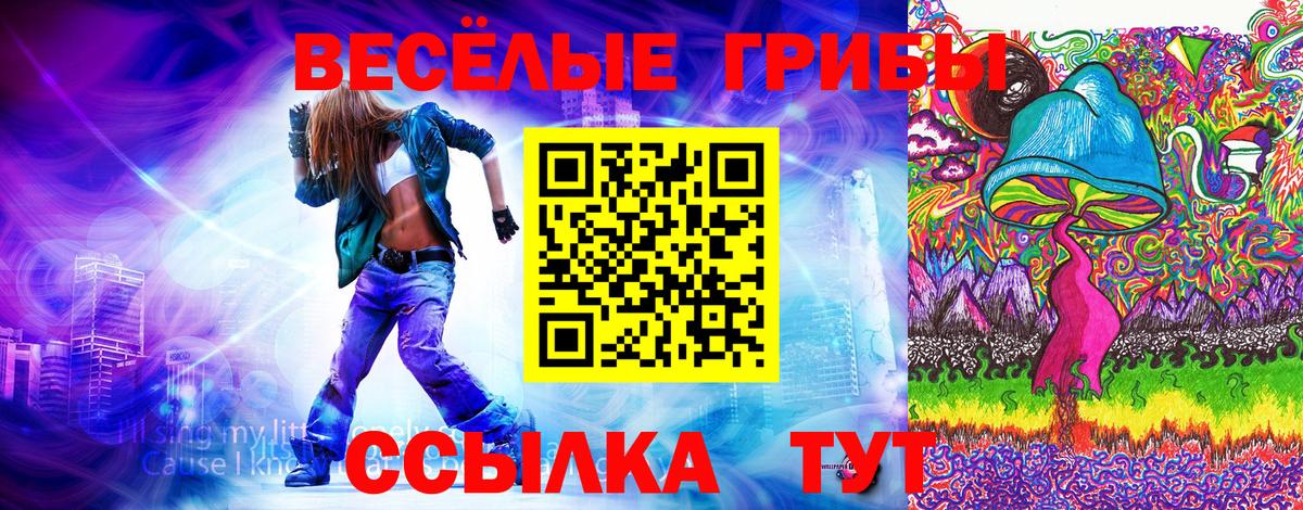 Галлюциногенные грибы мухоморы Каспийск